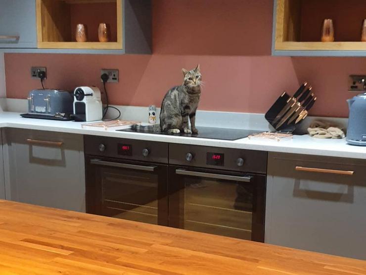 A pet-friendly kitchen in slate grey with copper handles, induction hob and wooden worktops.