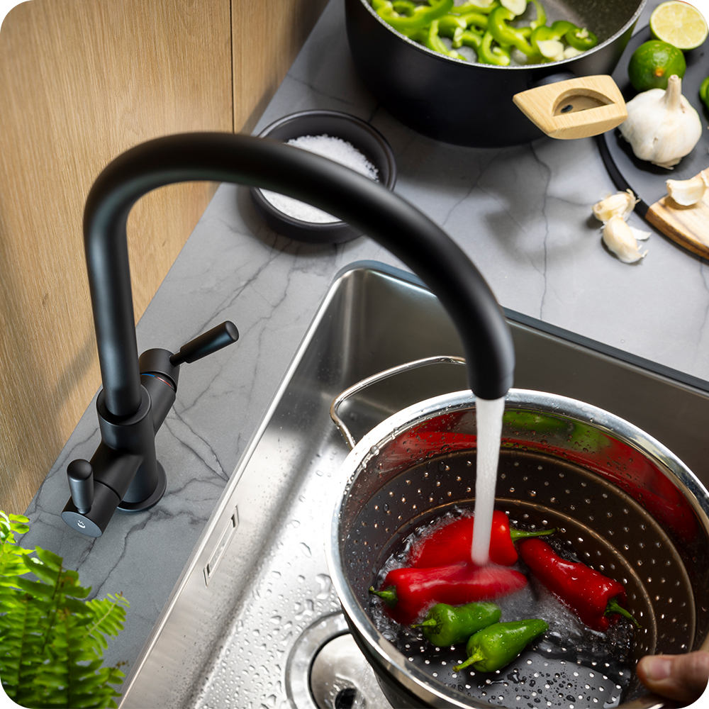 Pronteau boiling water tap features