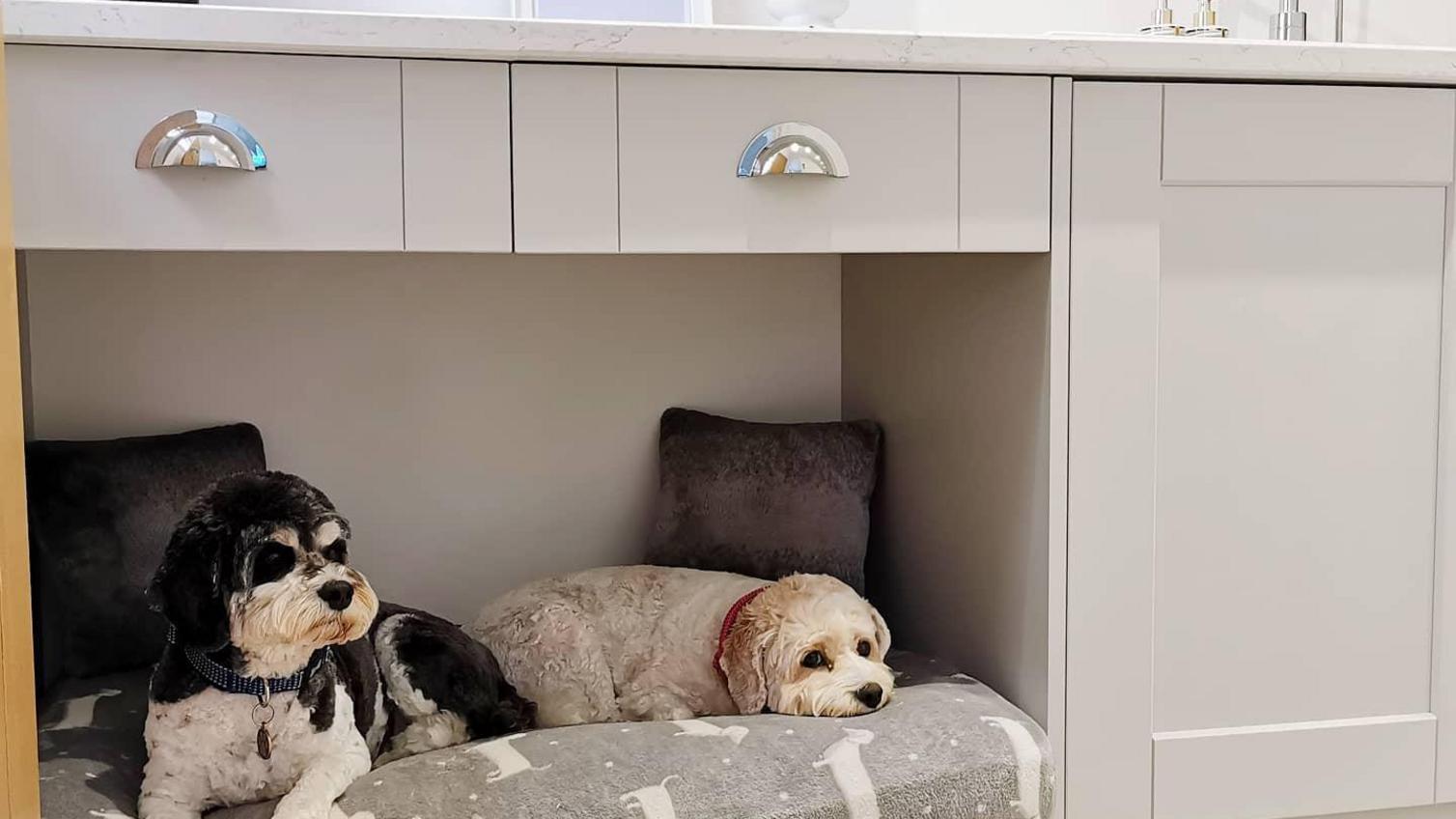 A combination of drawers & cabinets, plus a dog bed area, for a pet-friendly boot room storage idea.