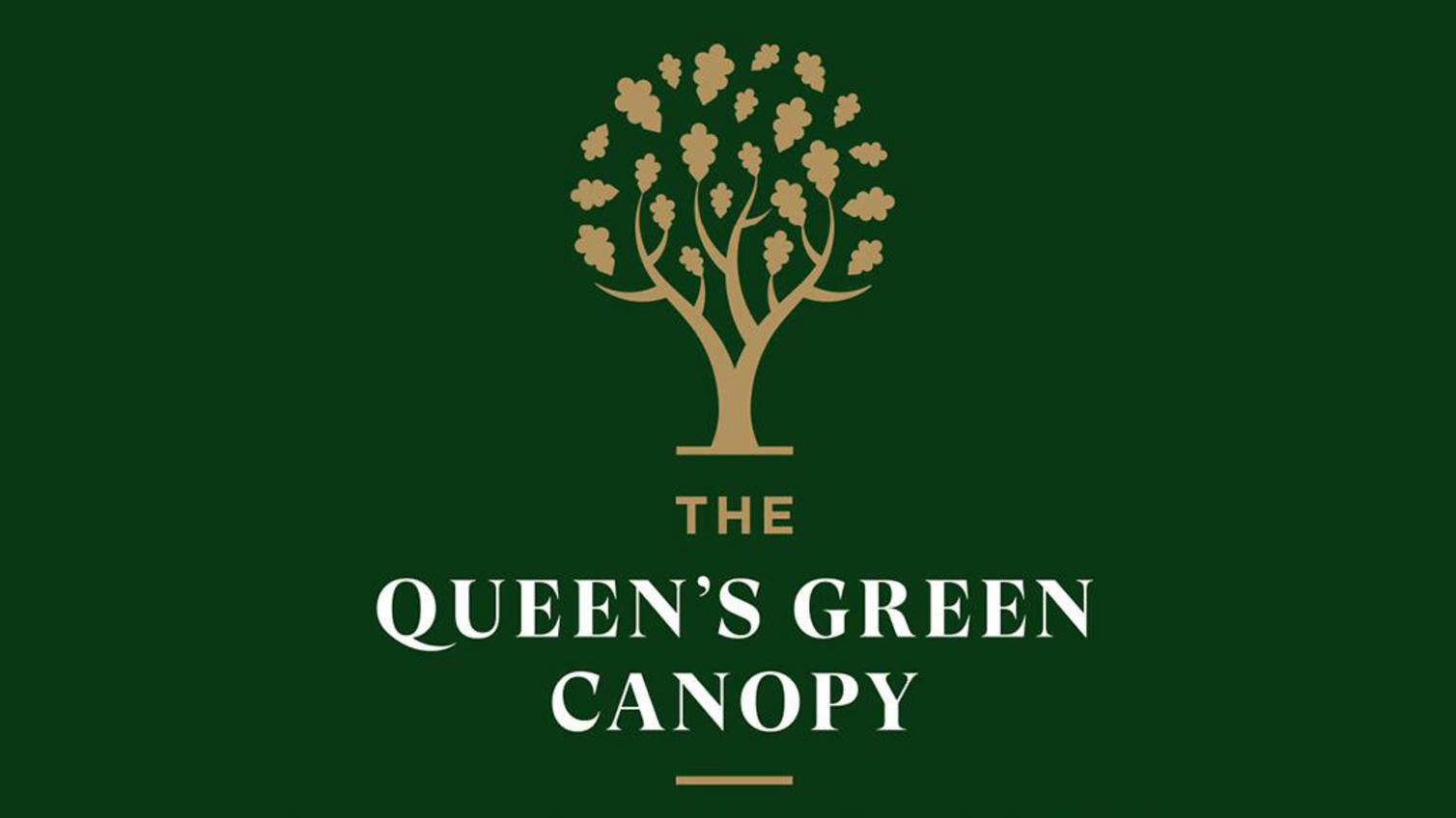 Queens Green Canopy 1