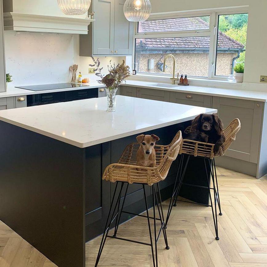 Kitchen island with small dogs sat in bar stools