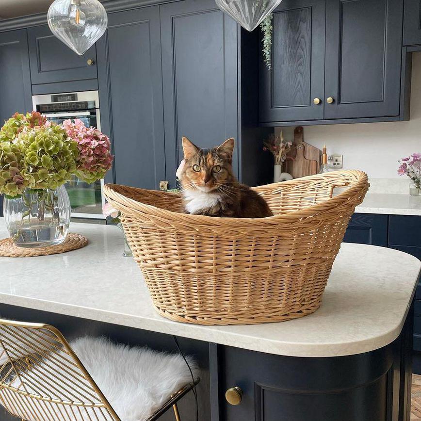 Shaker kitchen island with cat sat on worktop