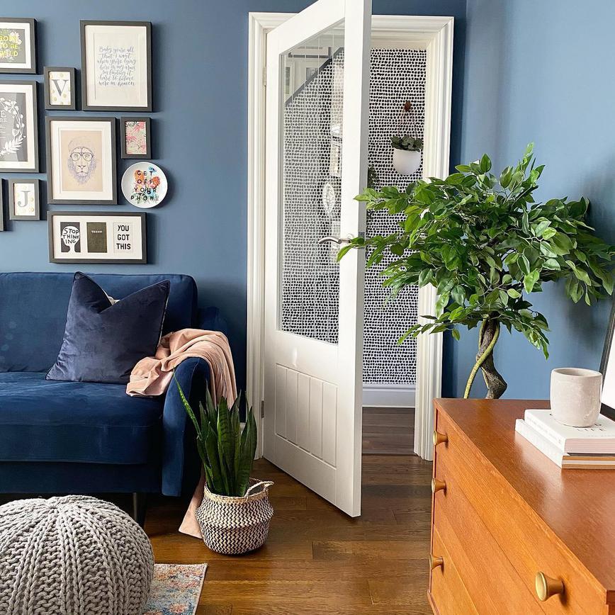 A blue living room with a white glazed door