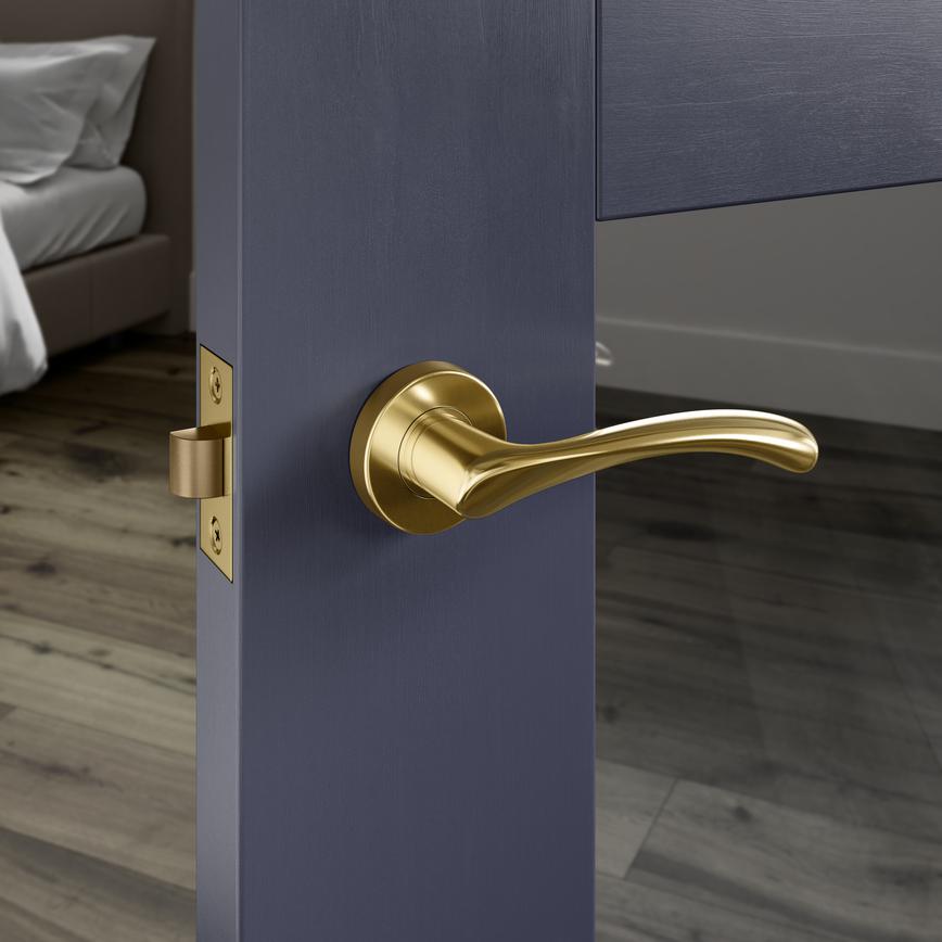 Garda Polished Brass Lever on Rose Door Handle Pair