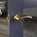 Garda Polished Brass Lever on Rose Door Handle Pair