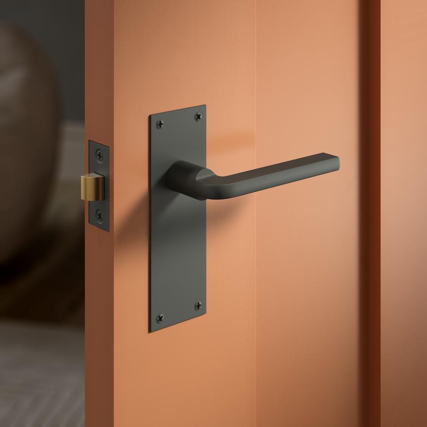 Fuller and Forge Munch Matt Anthracite Lever on Slim Backplate Latch Door Handle Pair Situational Image