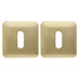 DFU0886 Satin Brass Escutcheon Square Cut Out
