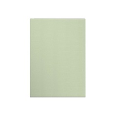 Hockley Super Matt Reed Green 400 Standard Door