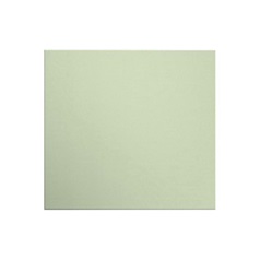 Hockley Super Matt Reed Green 600 Standard Door