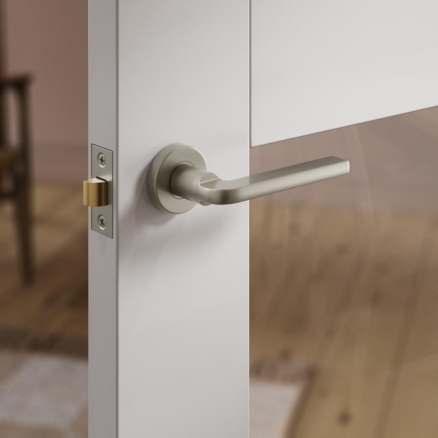 Munch Satin Nickel Rose Handle Situational