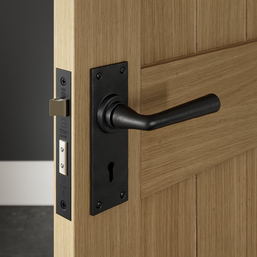 Antique Black Lever on Backplate Lock Door Handle Pair