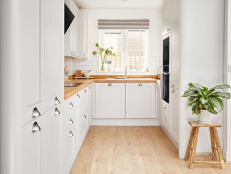 A wide shot of Ellen White's kitchen, with a bright atmosphere and a vibrant house plant