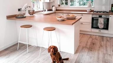 curtains_and_cockerpoos_2020-08-05_3639487423