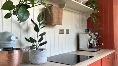 A red and white kitchen with decorative plants, a timber counter, and wooden wall panelling