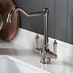 Polished Nickel J Spout Mixer Tap