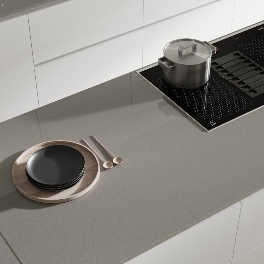 Gris Expo Worktop Cameo