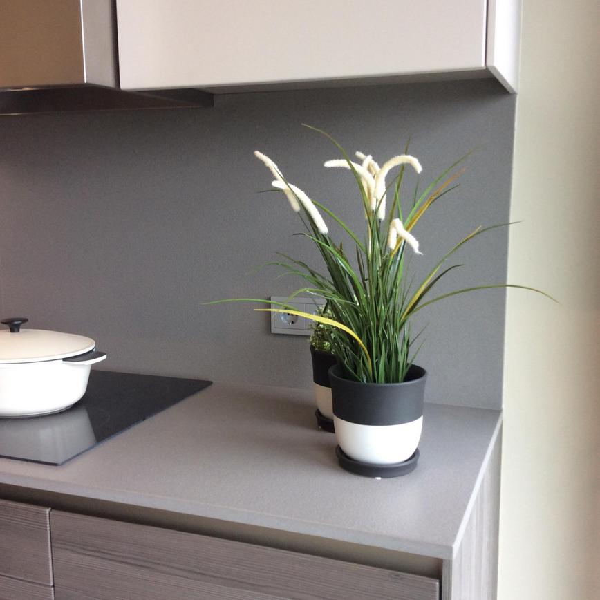 SSWPS1006 Gris Expo 3