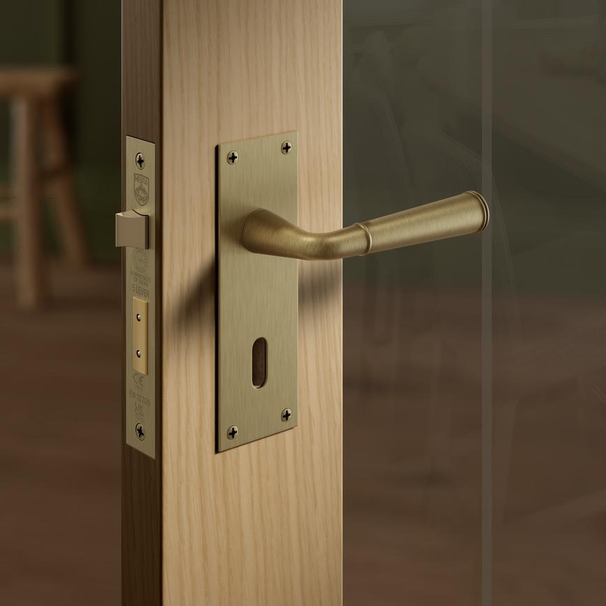 Arno Antique Brass Lock Backplate Situational