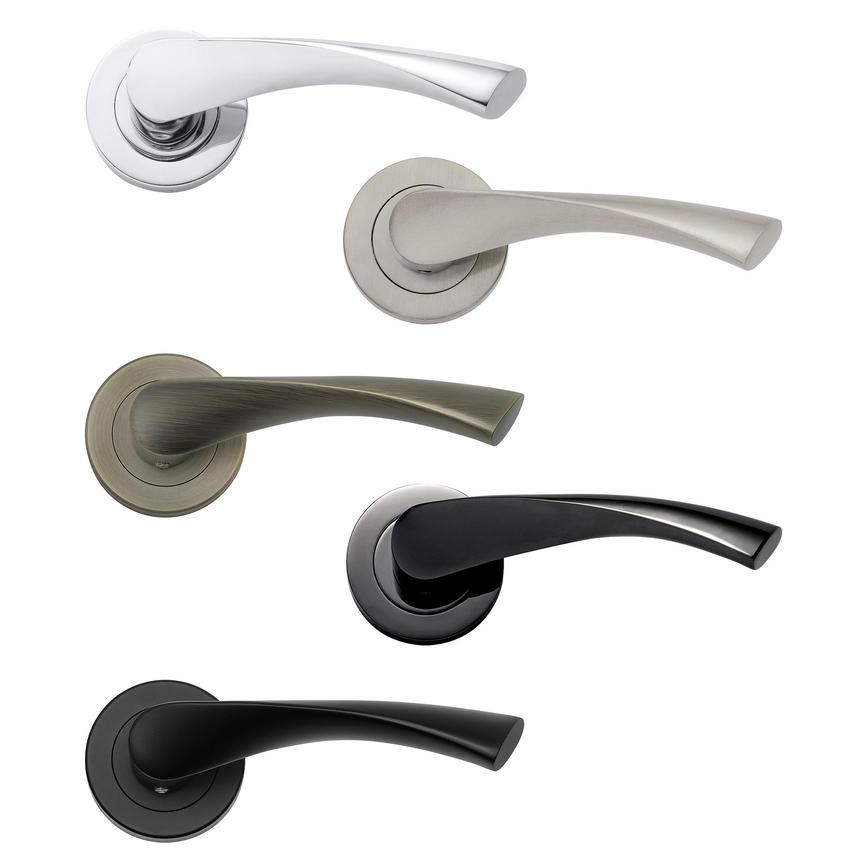 Sofia Lever on Round Rose Family Image