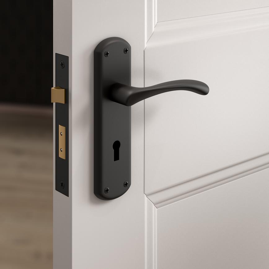 Garda Matt Black Backplate Lock Situational