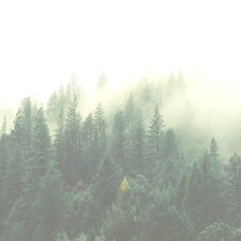 Sensio sustainability.